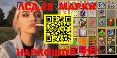 стафф Шебекино