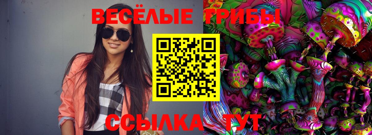 Галлюциногенные грибы Psilocybine cubensis Выкса