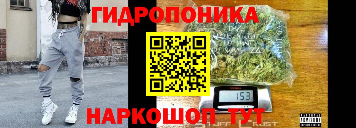 Канабис сатива Выкса